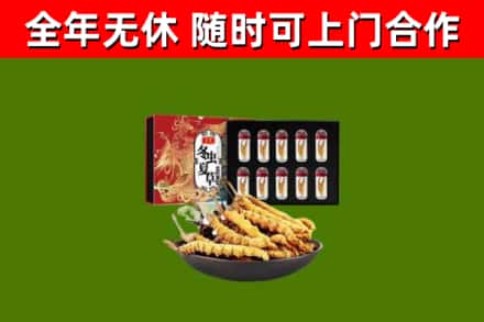 珠山烟酒回收冬虫夏草礼盒.jpg